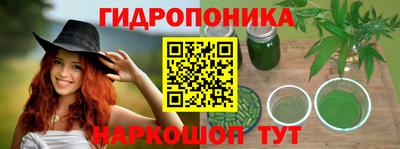 гидра Краснознаменск