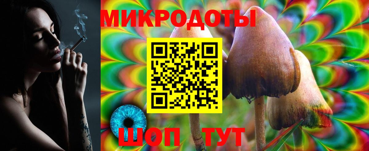 Галлюциногенные грибы Magic Shrooms  Вход с VPN  Галлюциногенные грибы Cubensis  Красноперекопск 